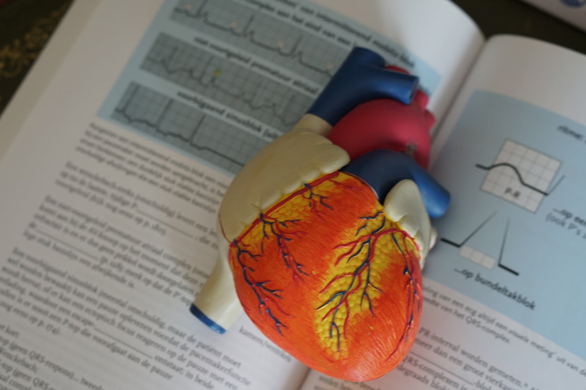 Cardio: The Essential Guide to Nutrition for Heart Health - Tastefully Olive