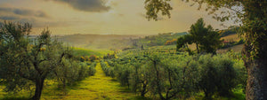tuscany